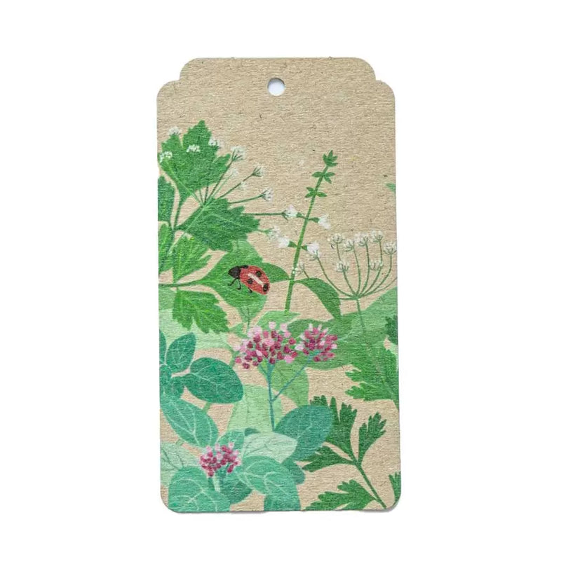 Gift Tag- Garden Herbs (10 Pack)
